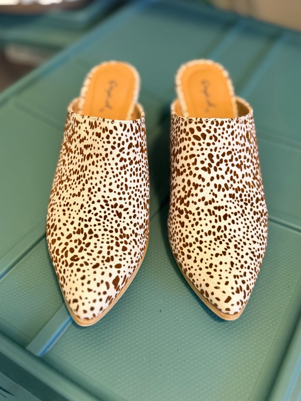 Qupid Dalmatian-Print Pointed Mule in White & Brown - Picture 1 of 5